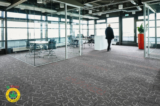 이미지 출처 : 포보코리아